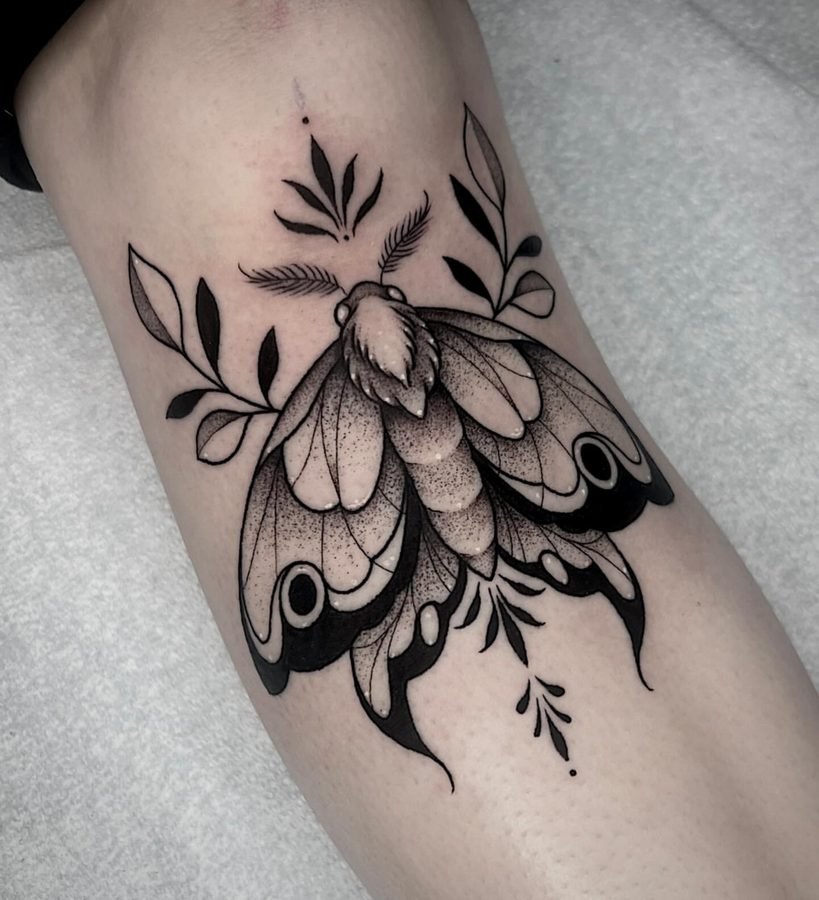 Moth with leaf sprigs and black-fill wingtips