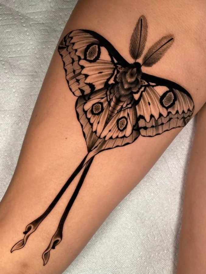 Luna moth style tattoo with long trailing tails