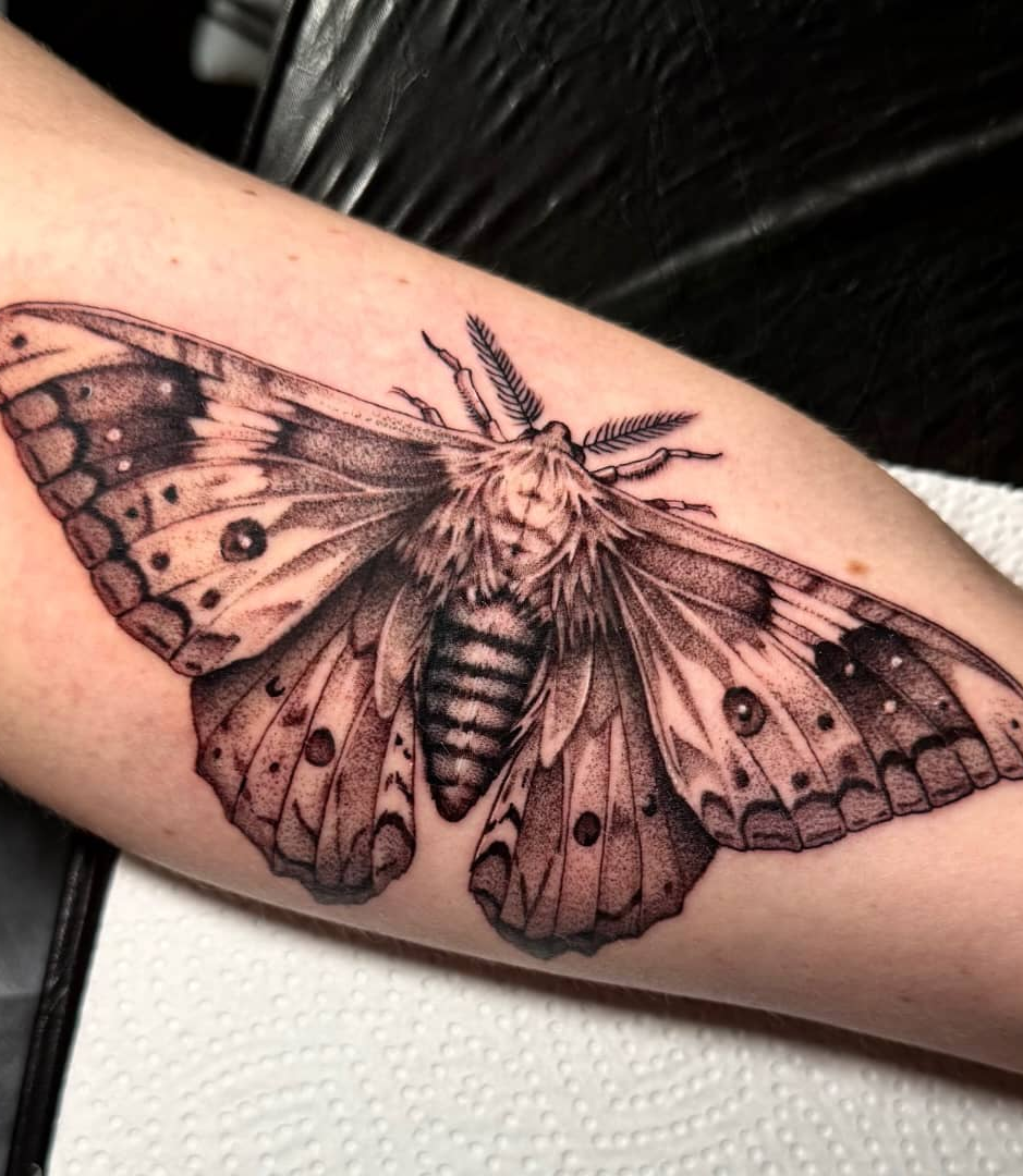 Symmetrical black and grey moth tattoo with detailed dotwork wing shading on forearm