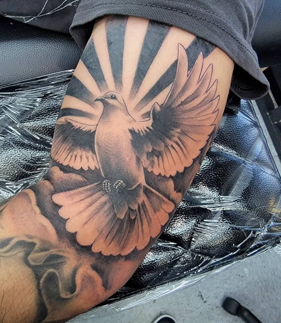 Black and grey realism dove tattoo with dramatic sunburst rays on forearm